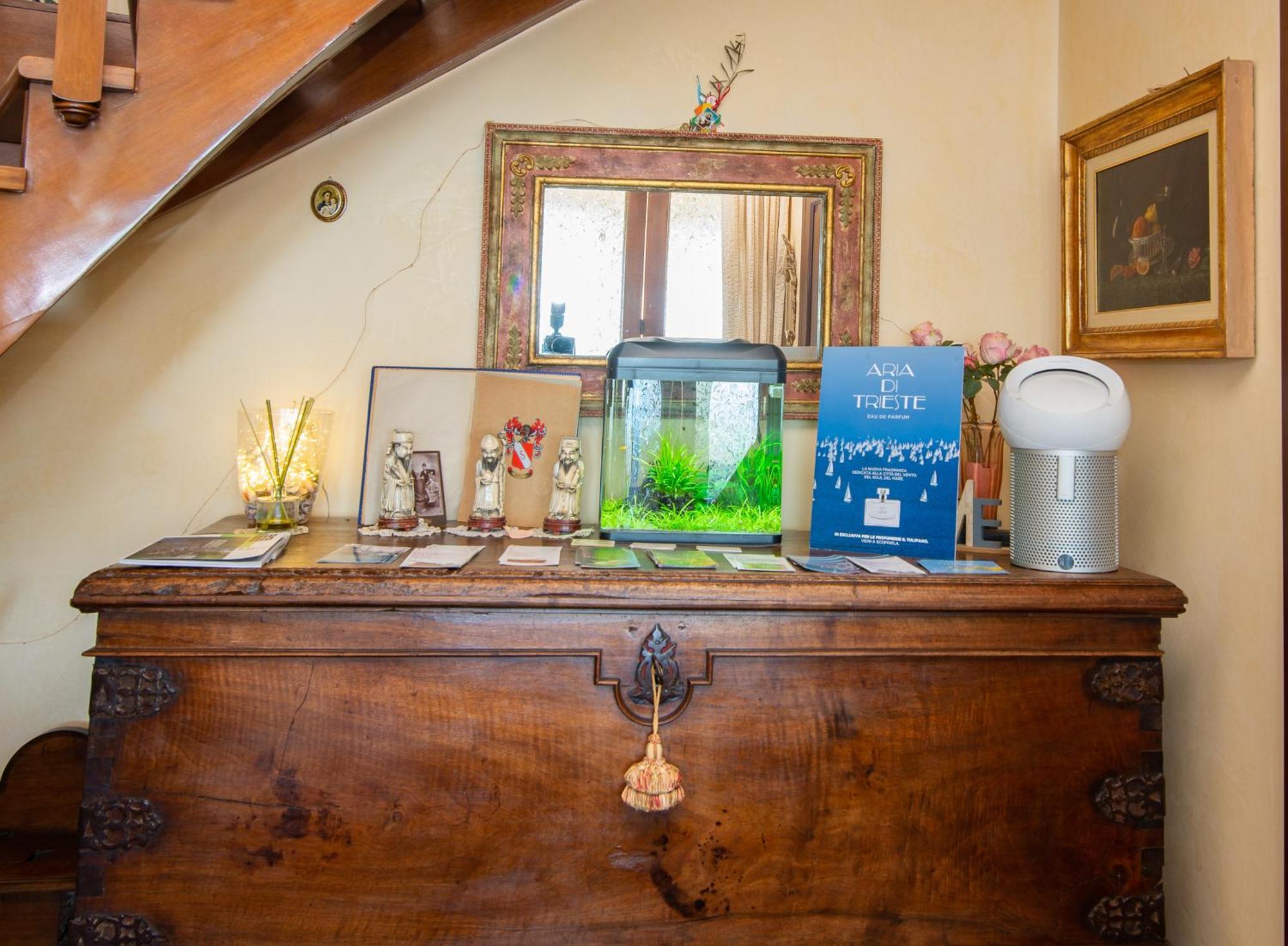 La Mansarda Delle Meraviglie B&B Superior ตรีเอสเต ภายนอก รูปภาพ